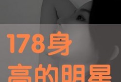 在线观看178,揭秘热门视频背后的故事